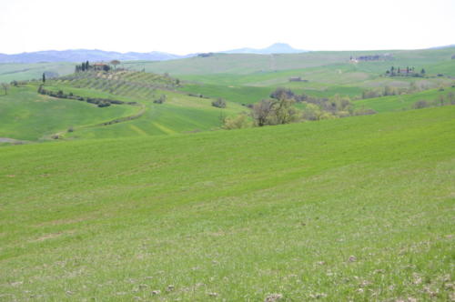 vald'orcia